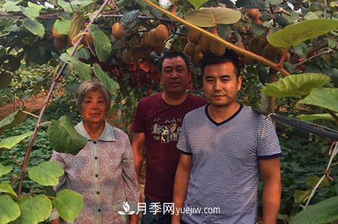 南阳西峡县青年朱云汉做电商 一天能卖近两吨猕猴桃(图1)