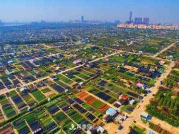 广东省中山市横栏镇，这个3万亩的花木之乡，亩均年产值竟达10万元