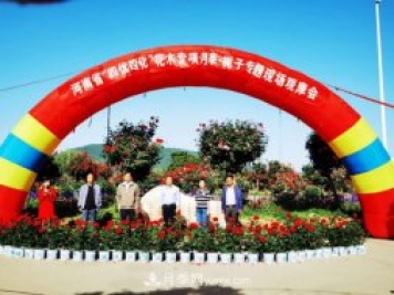 河南省四优四化项目 助推南阳月季、栀子产业发展